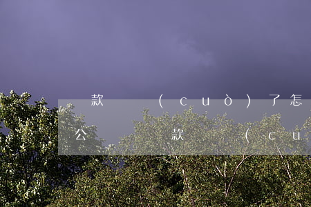 匯款匯錯(cuò)了怎么辦(對(duì)公賬戶匯款匯錯(cuò)了怎么辦)