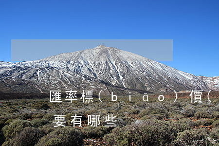 匯率標(biāo)價(jià)的方法主要有哪些