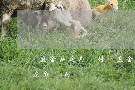 匯盈金服逾期兌付(匯盈金服現(xiàn)在能兌付嗎)