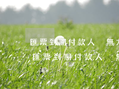 匯票到期付款人卻無力償還,銀行該怎么辦-匯票到期付款人卻無力償還,銀行該怎么辦
