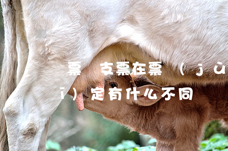 匯票與支票在票據(jù)法中的規(guī)定有什么不同嗎