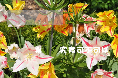 匯票轉讓究竟可不可以僅憑交付的方式