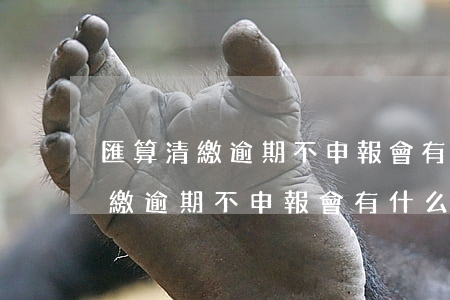 匯算清繳逾期不申報會有什么后果-匯算清繳逾期不申報會有什么后果呢