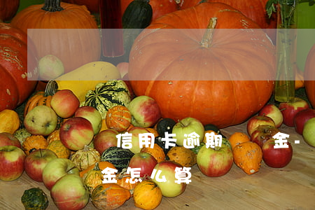 匯豐信用卡逾期違約金-匯豐信用卡逾期違約金怎么算
