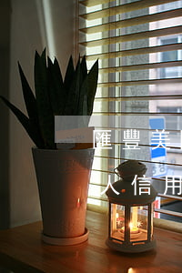 匯豐美國信用卡逾期欠費(fèi)-美國人信用卡逾期不還后果