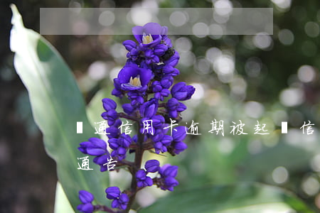 匯通信用卡逾期被起訴(信用卡逾期收到起訴通告)