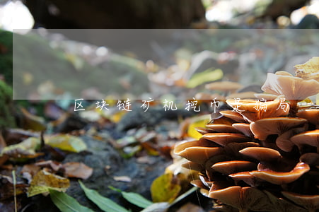 区块链矿机挖币是骗局