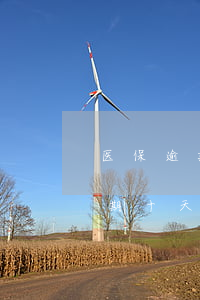 医保逾期十天为什么不能交费用了-医保逾期十天为什么不能交费用了呢