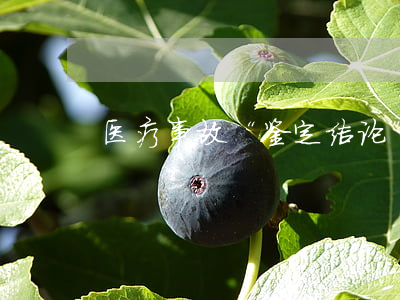 医疗事故“鉴定结论”的证据效力