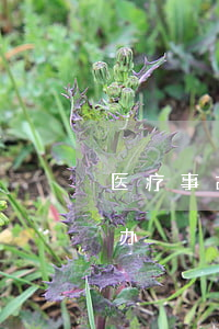 医疗事故怎么解决最有效(出了医疗事故怎么办?)
