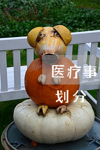医疗事故技术鉴定的程序是怎样的（鉴定时段划分）