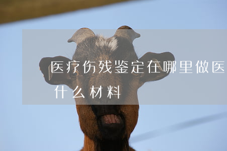 医疗伤残鉴定在哪里做(医院做伤残鉴定需要什么材料)