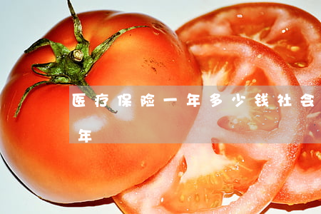 医疗保险一年多少钱(社会医疗保险多少钱一年)