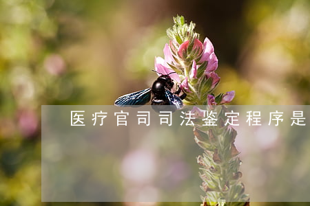 医疗官司司法鉴定程序是什么
