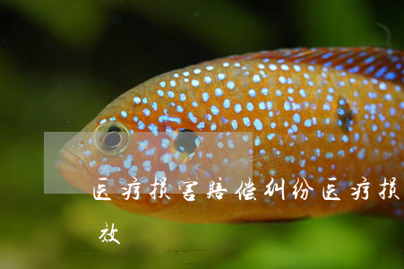 医疗损害赔偿纠纷(医疗损害赔偿纠纷诉讼时效)