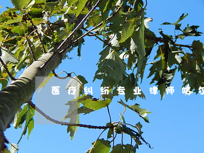 医疗纠纷专业律师(哈尔滨医疗纠纷专业律师)