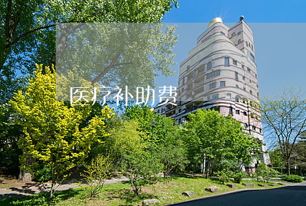 医疗补助费