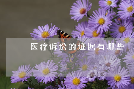 医疗诉讼的证据有哪些