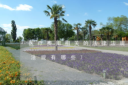 医疗费用相关的法律法规(关于医保的法律法规有哪些)