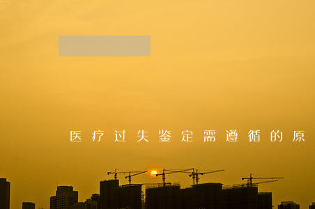医疗过失鉴定需遵循的原则是什么
