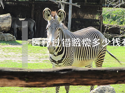 医疗过错赔偿多少钱,有什么规定