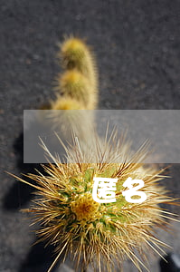 匿名舉報信(匿名舉報信最佳郵寄方法)