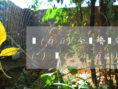 區(qū)分離婚損害賠償與離婚財(cái)產(chǎn)分割的界限