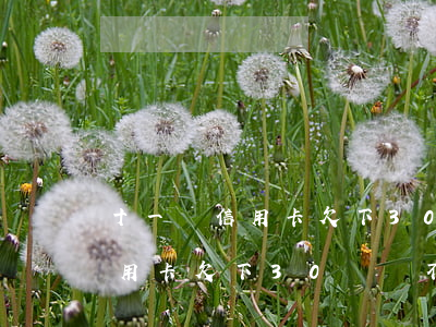 十一張信用卡欠下30萬還不上-十一張信用卡欠下30萬還不上怎么辦