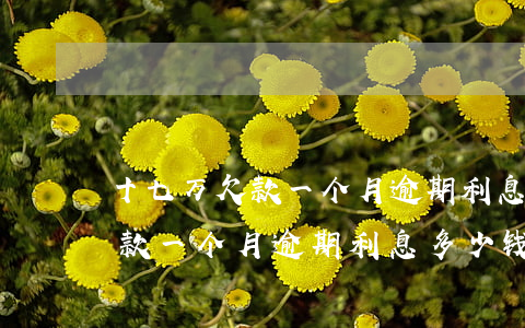 十七万欠款一个月逾期利息多少-十七万欠款一个月逾期利息多少钱