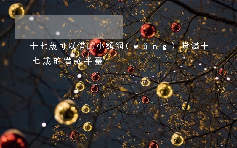 十七歲可以借的小額網(wǎng)貸(滿十七歲的借款平臺)