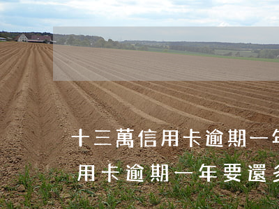 十三萬信用卡逾期一年要還多少-十三萬信用卡逾期一年要還多少利息