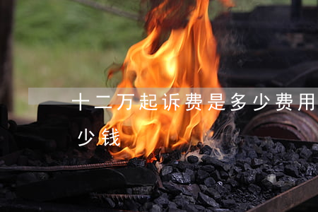 十二万起诉费是多少费用(十二万诉讼费是多少钱)