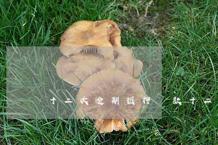 十二次逾期抵押貸款(十二次逾期抵押貸款)