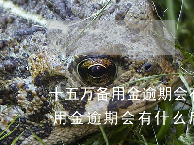十五万备用金逾期会有什么后果-十五万备用金逾期会有什么后果吗