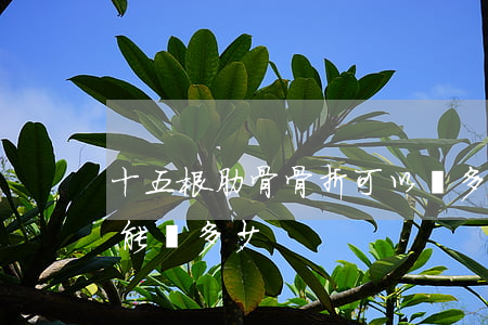 十五根肋骨骨折可以賠多少錢(肋骨骨折一根能賠多少)
