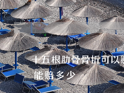 十五根肋骨骨折可以赔多少钱(肋骨骨折一根能赔多少)