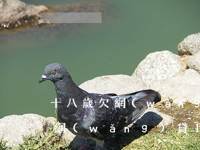十八歲欠網(wǎng)貸一萬五(22歲欠網(wǎng)貸10萬怎么辦)