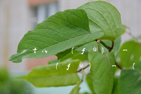 十八歲負(fù)債一萬(wàn)-十八歲負(fù)債一萬(wàn)怎么還清