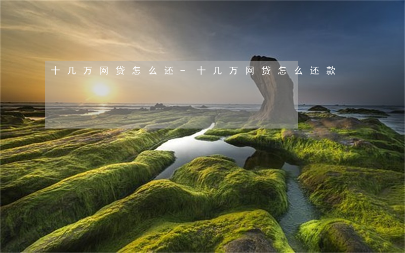 十几万网贷怎么还-十几万网贷怎么还款