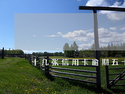 十几张信用卡逾期五十万（信用卡15w逾期）
