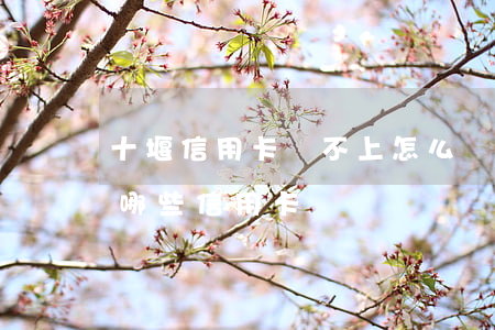 十堰信用卡還不上怎么辦會判刑嗎-十堰有哪些信用卡網點