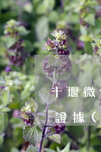 十堰微信轉(zhuǎn)賬記錄可以起訴證據(jù)嗎-微信轉(zhuǎn)帳記錄可以起訴嗎?