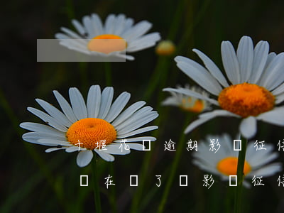 十堰花唄逾期影響征信嗎(花唄逾期了10天,現在還了,會影響征信嗎)