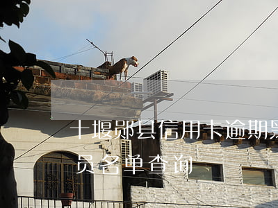 十堰郧县信用卡逾期黑名单(十堰郧县失信人员名单查询)