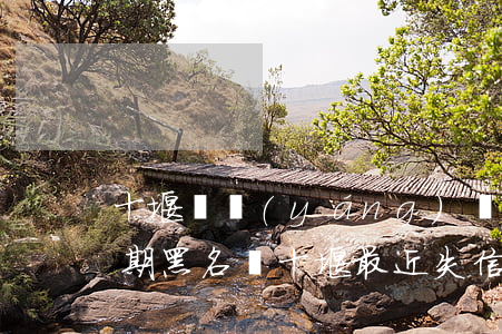 十堰鄖陽(yáng)區(qū)信用卡逾期黑名單(十堰最近失信人名單)