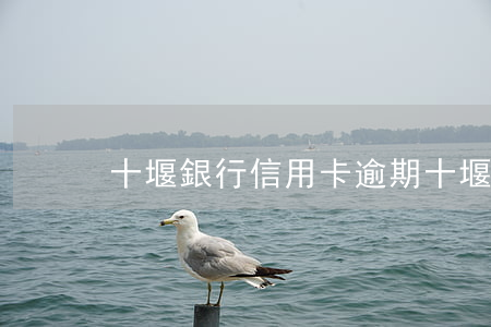 十堰銀行信用卡逾期(十堰銀行信用卡逾期)
