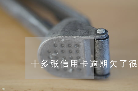 十多张信用卡逾期（欠了很多张信用卡逾期）