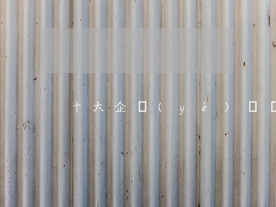 十大企業(yè)競爭力