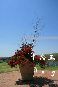 十大正規(guī)借款平臺有哪些(網(wǎng)上正規(guī)十大借款平臺)
