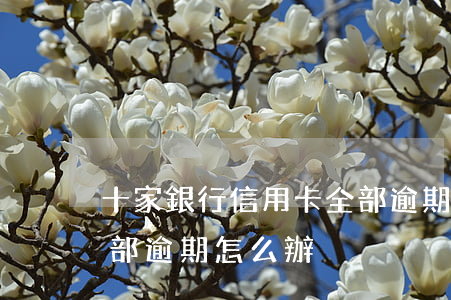 十家銀行信用卡全部逾期(十家銀行信用卡全部逾期怎么辦)